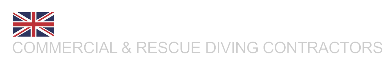 logo dsuk